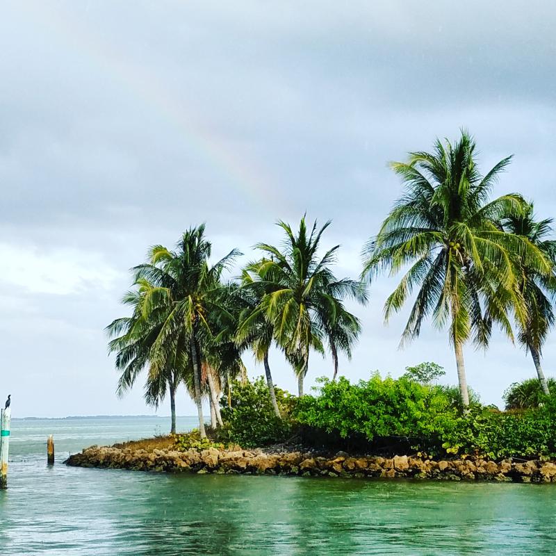 PerryMenschel's tweet photo. My friend Erika is a finalist in the South Seas Island Resort Photo Contest! Help them... https://t.co/bAkJCWWXub https://t.co/13dr8sL9z8