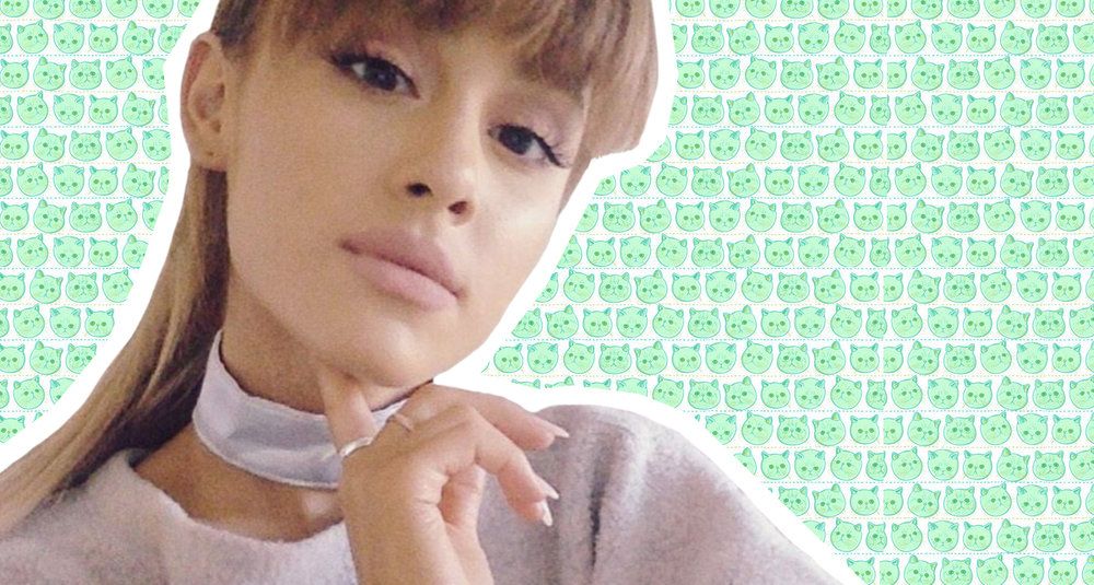 thisisamplify's tweet photo. Australia REALLY Wants @ArianaGrande For The #DangerousWomanTourAustralia! https://t.co/b9QP1hUH1J https://t.co/49wsa2JD7D