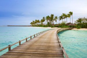 Creative Density tweet media