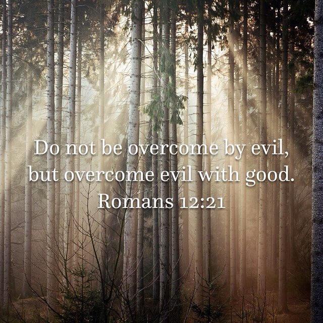 NtokozoMbambo's tweet photo. #DontFightHateWithHate #DontBeOvercomeByEvil #LetLoveAbound #LetGoodAbound #LetPeaceAbound ❤️ https://t.co/oyk47ZBKYe