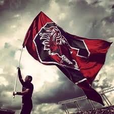 NoEasySaturdays's tweet photo. @Truth_Bowen CAROLINA looks good on you! #SecureTheState #SpursUp https://t.co/zevdMUqVB9