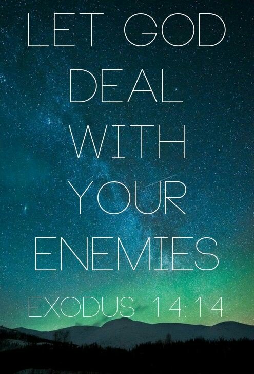 ElizabethPriceX's tweet photo. https://t.co/JlYAW2iExy