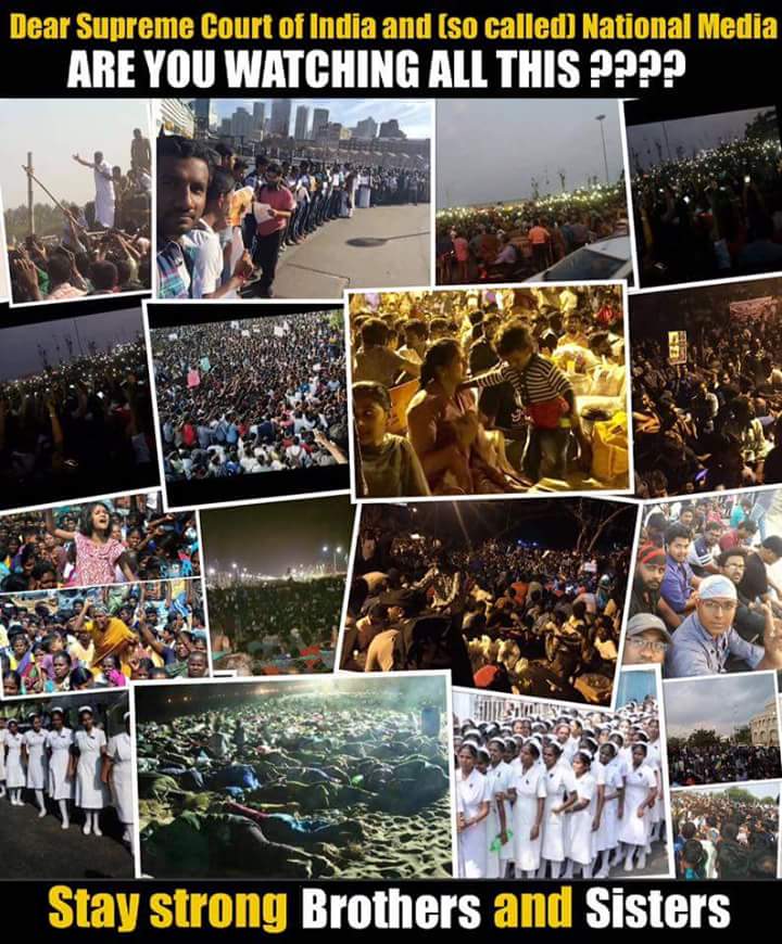 HaroonKayal's tweet photo. @ndtv @CNNnews18 @sardesairajdeep @BBCIndia  r u ppl watching this 😡😡😡😡😡 #chennai #jallikattu #BanPeta https://t.co/uiBnaYrQIW
