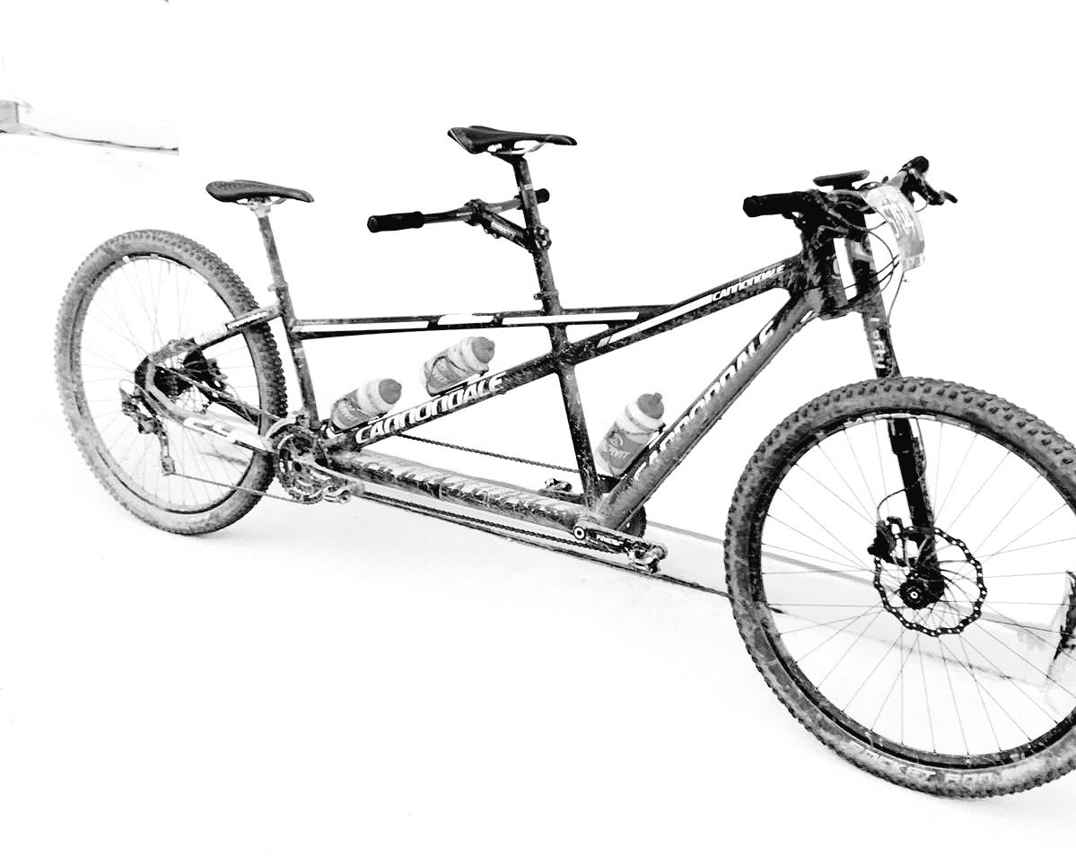 cannondale tandem 2017