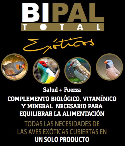 teganslbipal's tweet photo. Muy pronto lanzamos BIPAL TOTAL especial para aves exóticas:
#AvesExoticas #Exoticas #Bipal #Aviario https://t.co/i1nXHwdcFP