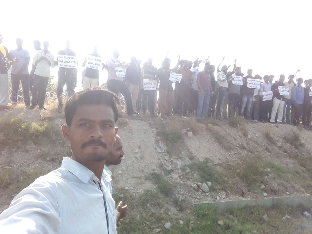 BarathkumarM1's tweet photo. Thappu panna thala edukkavum thayanga  mattom u cnt Bro our unity@Dpi &amp; k,giri
@kannahsr1 @RamKonvic @time_mani @iam_str @Actor_Vivek https://t.co/hI3OoFFNpa