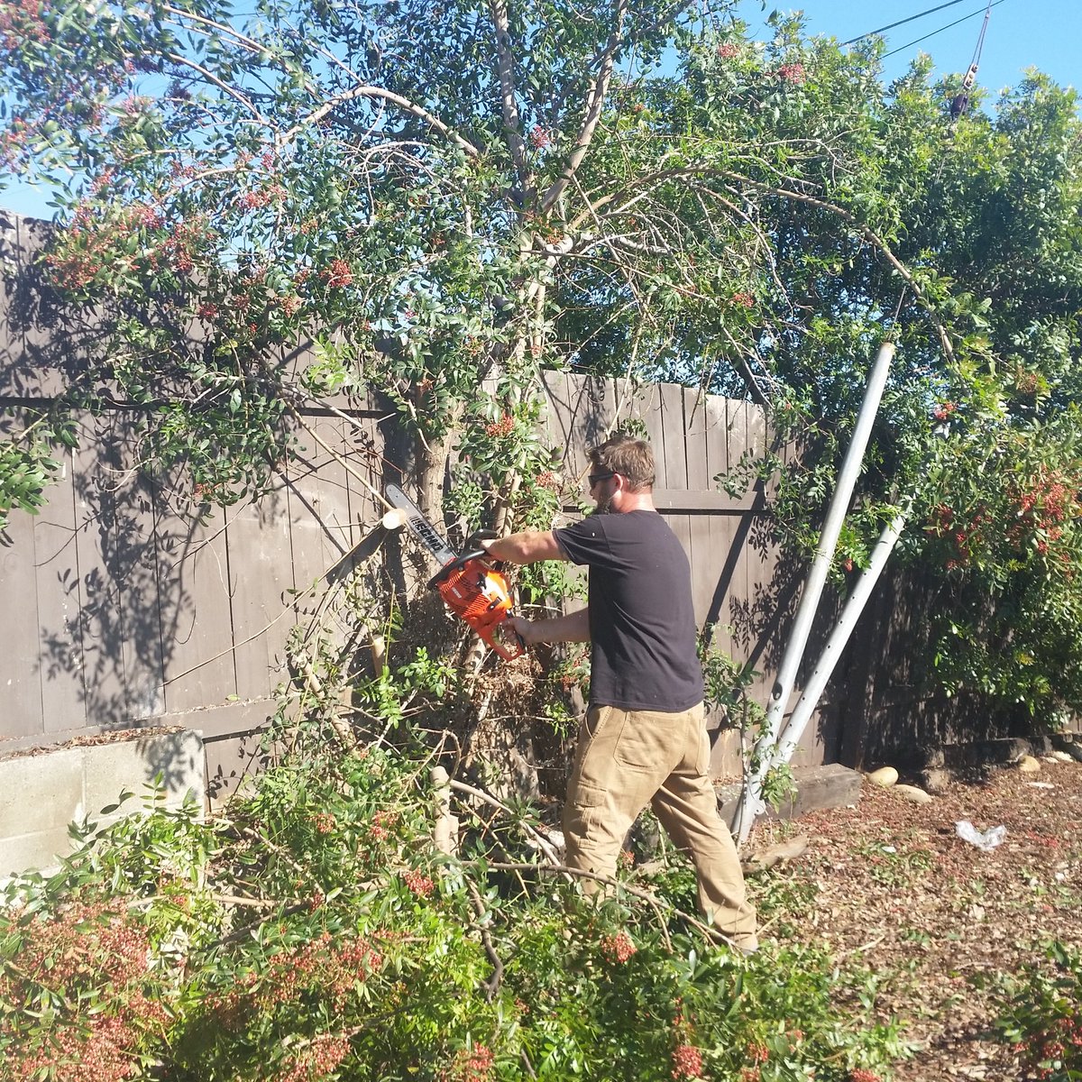 Jarrellandscape's tweet image. 