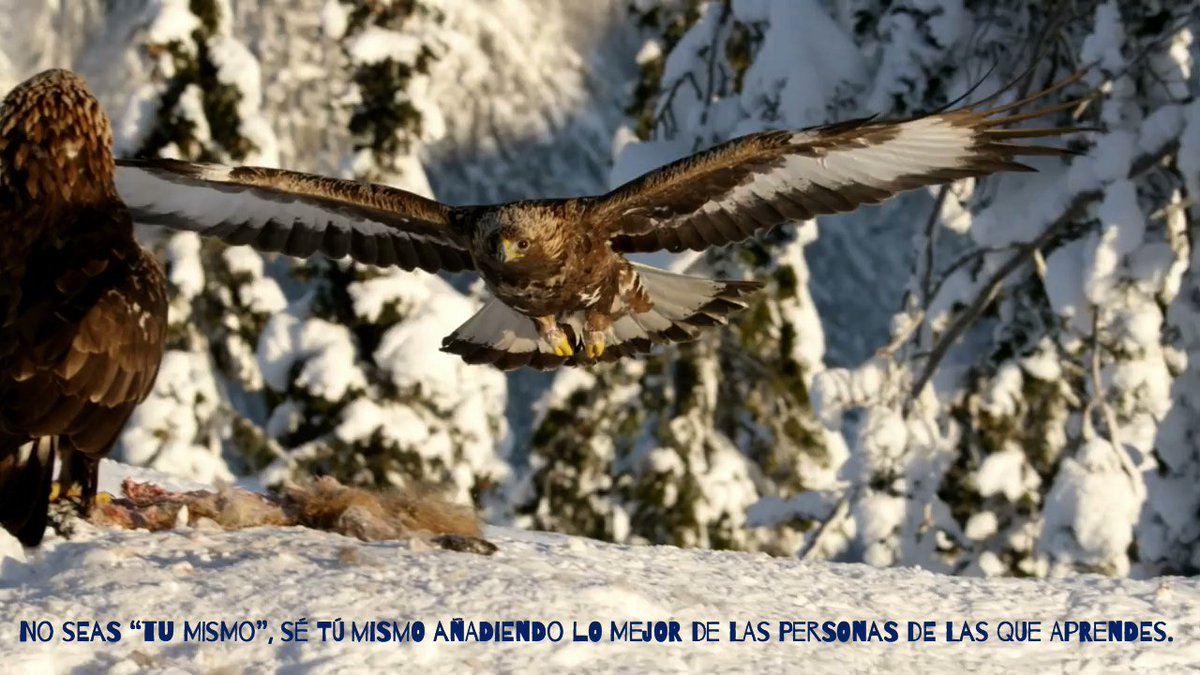 Juanmef83's tweet photo. #FelizMiercoles y Feliz Mitad De Semana!
#EnjoyTheWind & #Smile https://t.co/OYjsPin8qh