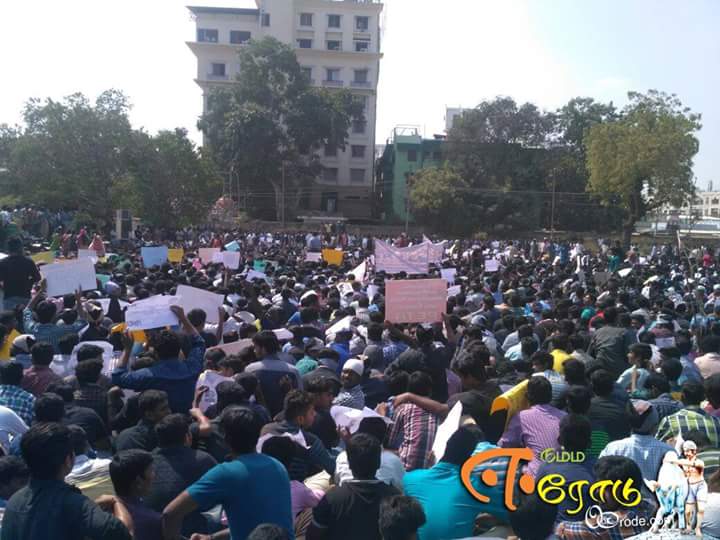 OurErode's tweet photo. #Erode students showing their #Support Erode Voc Park
#justiceforjallikattu #ourerode #nammaerode https://t.co/jbZ1CC0jHm
