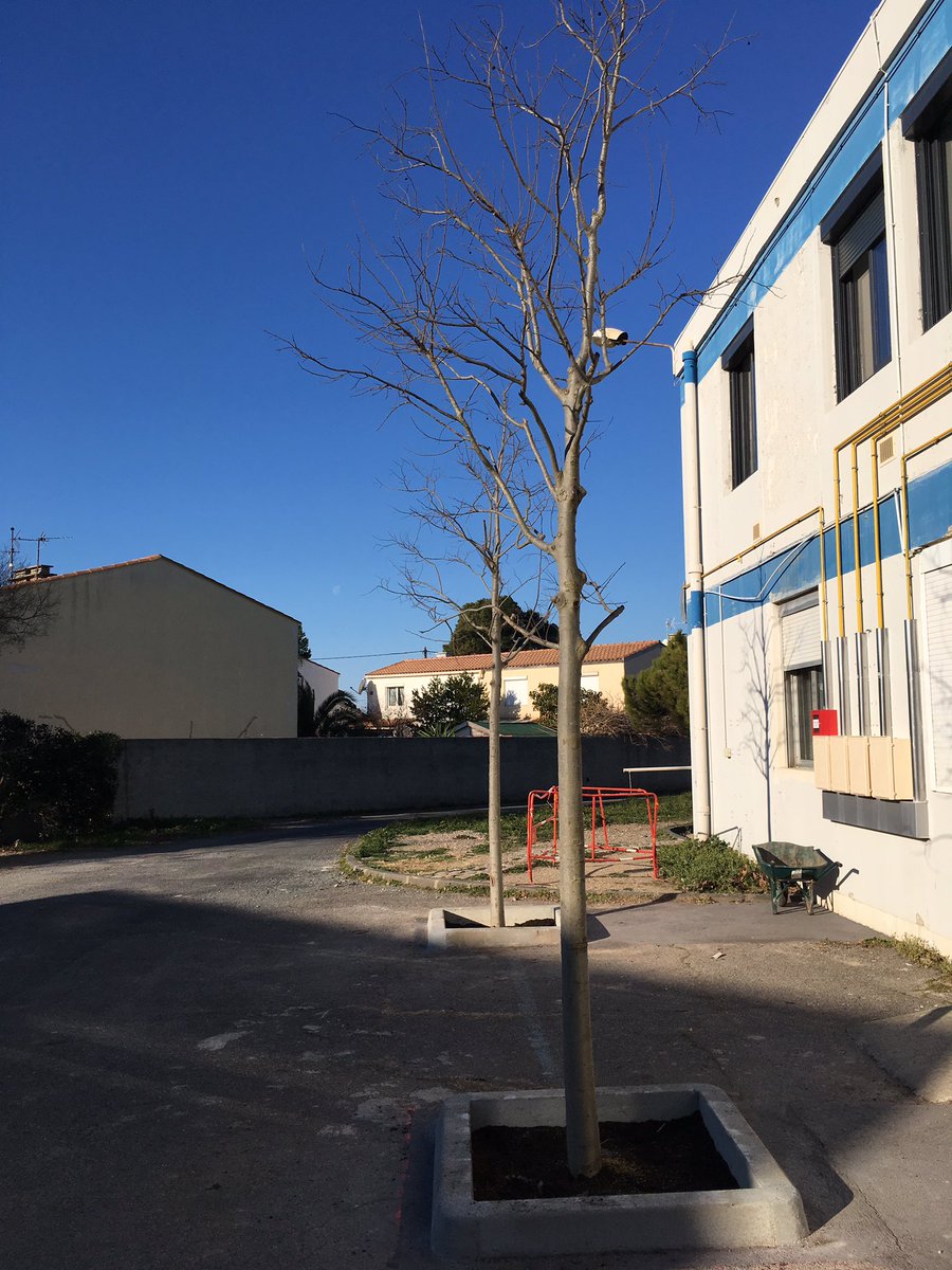 Des enfants , des arbres , des marins , vive 2017 ! lyceedelamer.fr