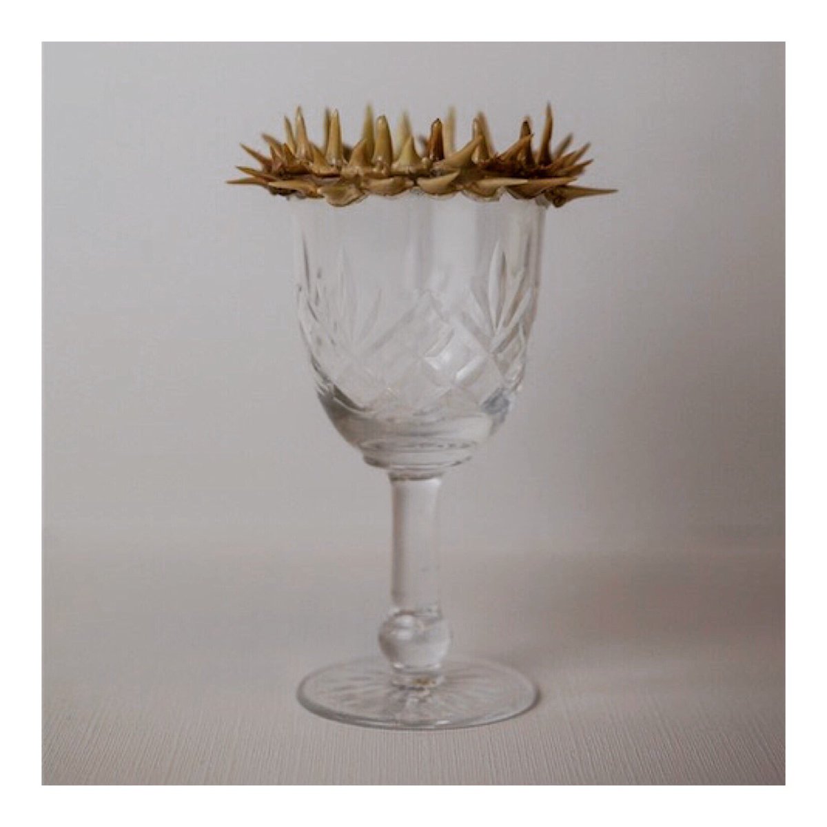 BeastandBurden's tweet photo. #dryjanuary 
Moroccan Shark Tooth Sherry Glass 
🔺🔺🔺🔺🔺🔺
#emergingartists #sculpture #foundobjects #macabre #sherry #eastlondon #gallery #art https://t.co/Bj2mIzjBpl