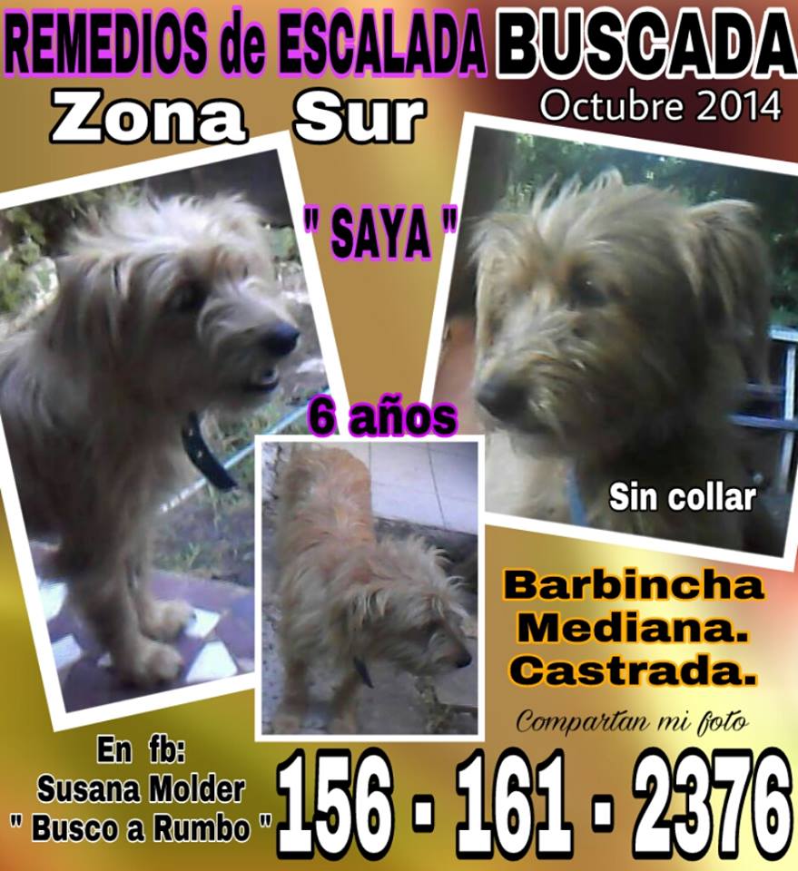 zuzanyn's tweet photo. Me ayudan por favor!!
Desde el 2014 que esta perdida Saya!!
RT RT por favor!!
Gracias!! https://t.co/vZwFAeOga2