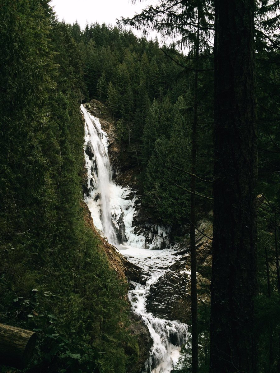 exploringinwa's tweet photo. Yesterday // Wallace Falls, Gold Bar, WA 🌲🌊❄️ https://t.co/6zt44Irc9c