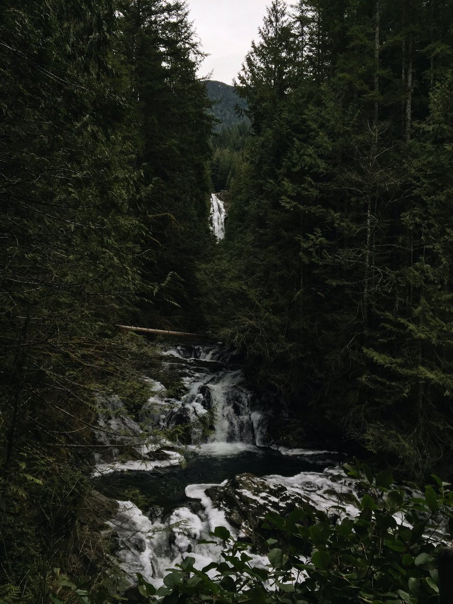 exploringinwa's tweet photo. Yesterday // Wallace Falls, Gold Bar, WA 🌲🌊❄️ https://t.co/6zt44Irc9c