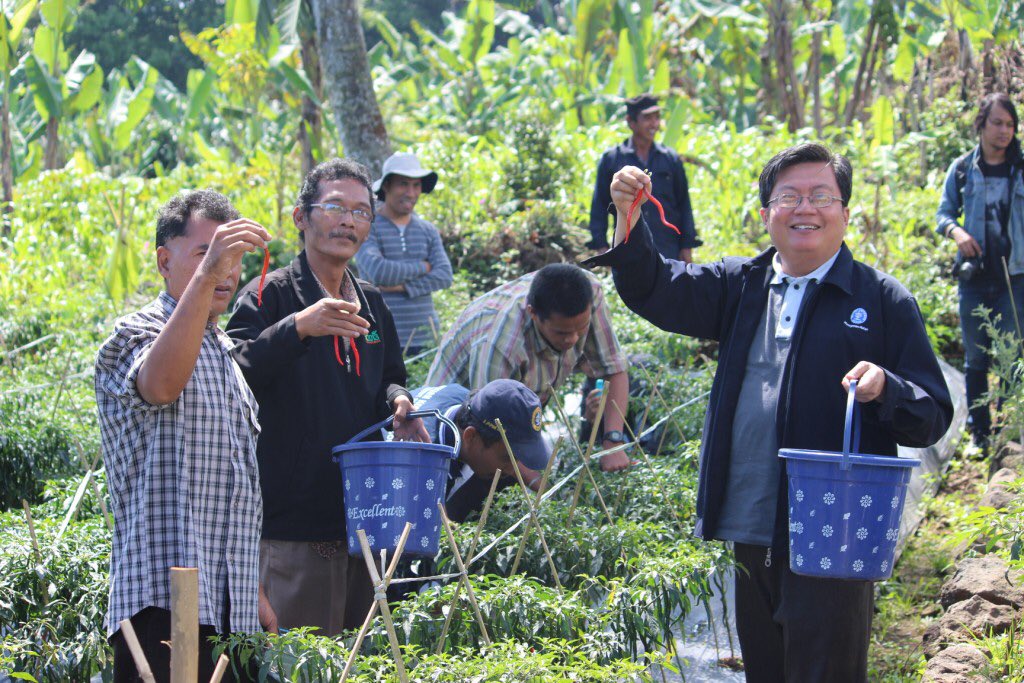 KSKP_IPB's tweet photo. Th 2013, IPB mll KSKP berhasil menanam cabai di luar musim dg hasil sangat baik. Sayang harga tetap jatuh ketika panen Prof @hermantoregar https://t.co/5E5MxwCPfN