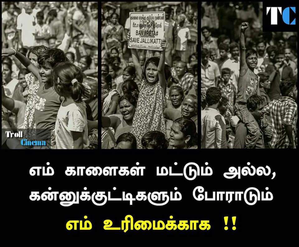 BarathkumarM1's tweet photo. https://t.co/uAtXAbvgjr