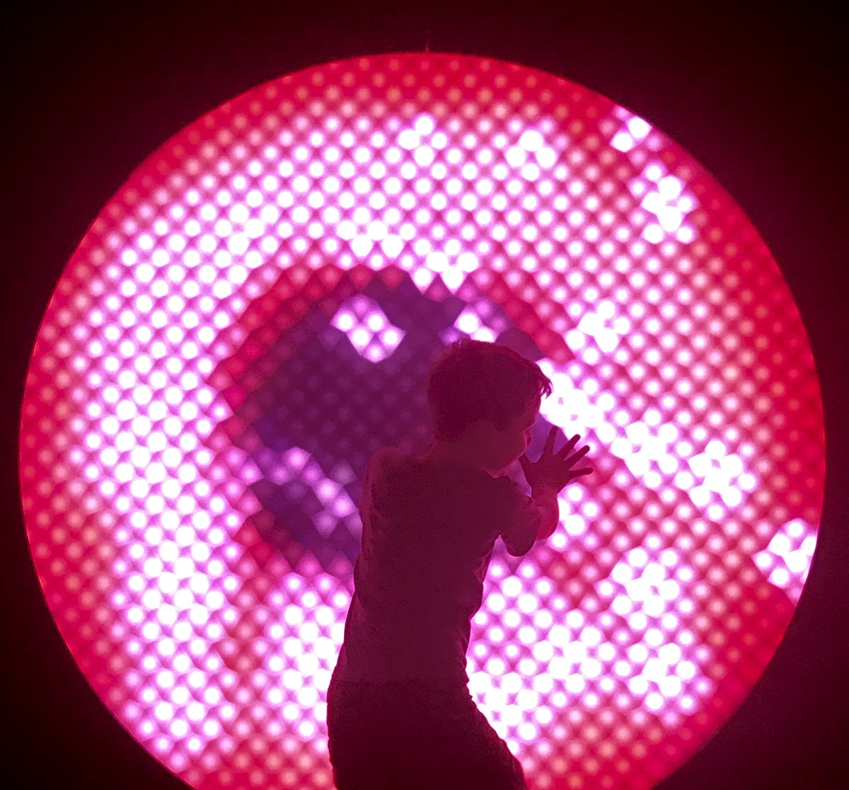 melbournemuseum's tweet photo. Fun with light in the Children’s Gallery! #playisok #childrensgallery https://t.co/j3tdiKnVvU