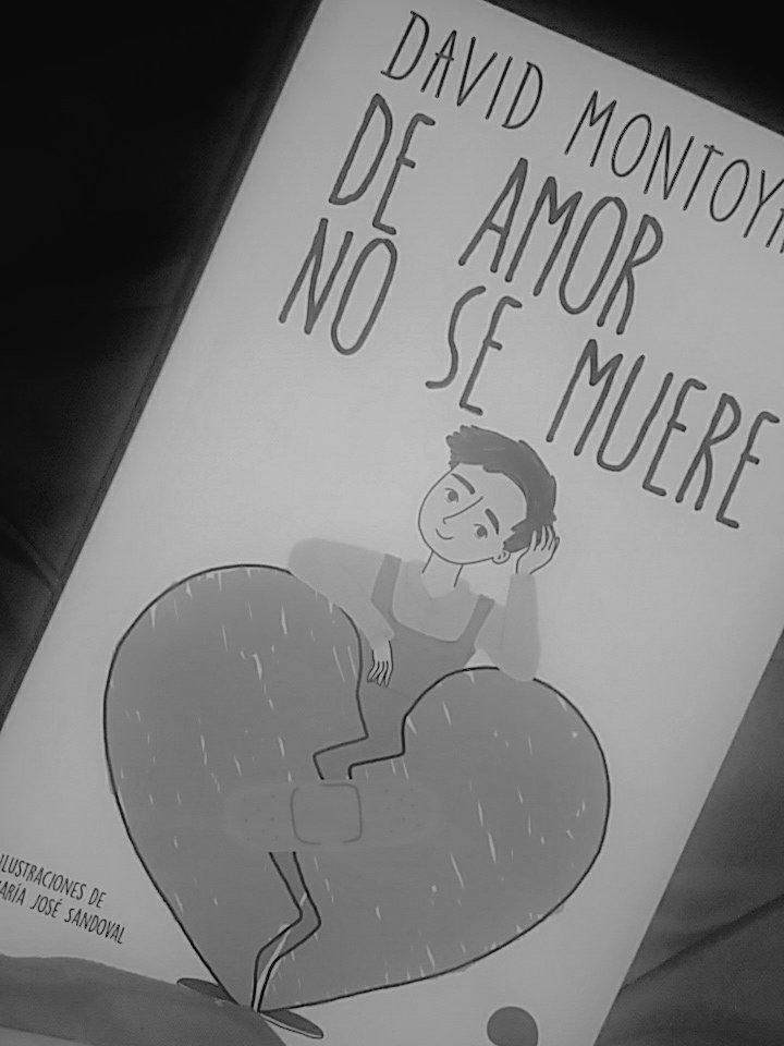 Ignaciadnma's tweet photo. A terminar la Noche leyendo 
Que mejor 😏👏💘 
@_davidmontoya_ https://t.co/hpeGZB4Icz