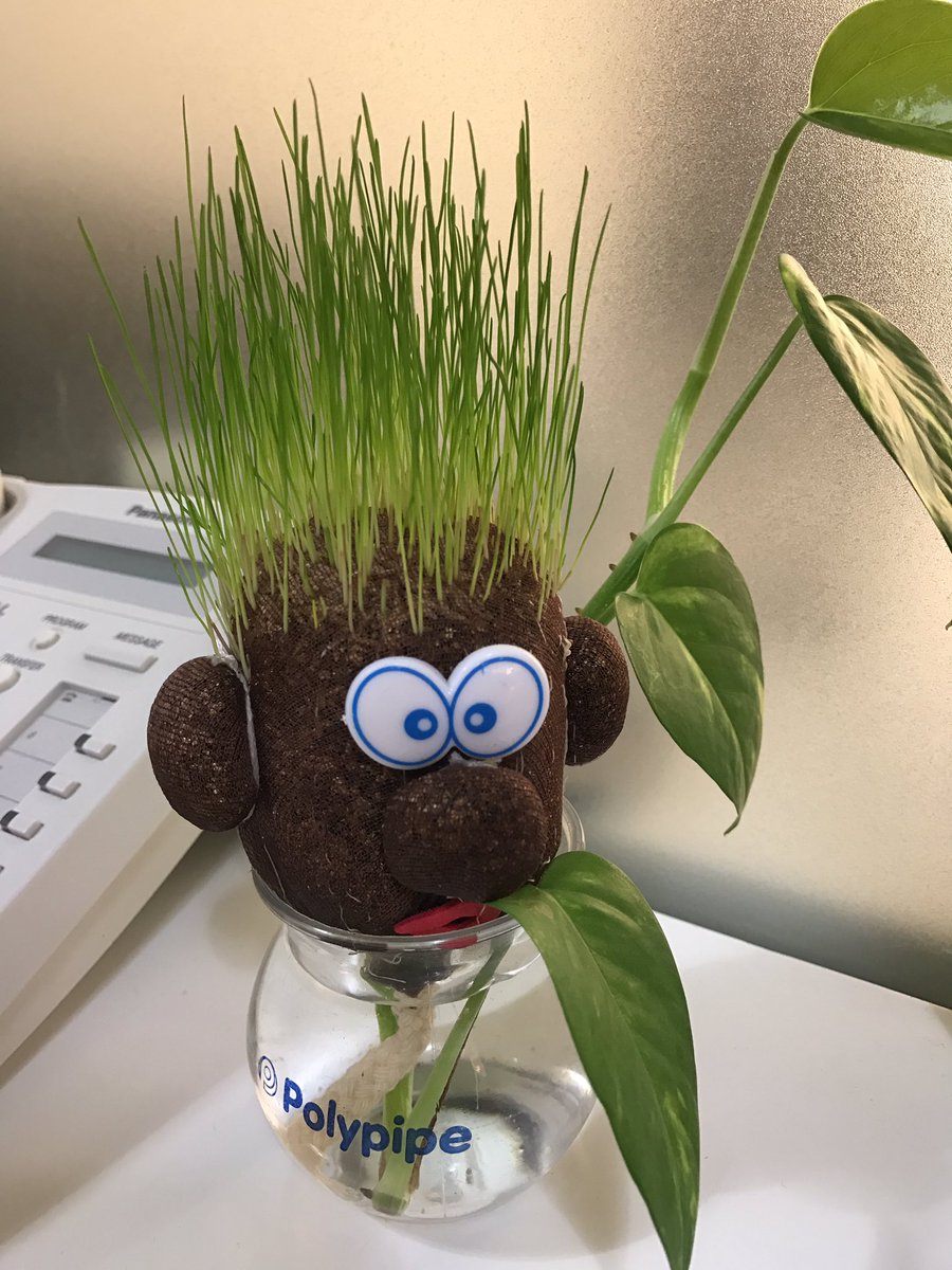 bengjork's tweet image. @PolypipeME Look! #Permavoid solution works! #polypipepeople #ACMFDQ makes my desk look cheery too 👍🏼