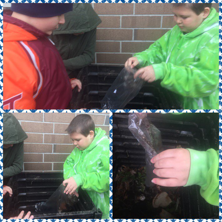 marietculver's tweet photo. #gardenbreakfastclub adds daily cafeteria scraps to the garden compost, "SO COOL!" @SeatackAADA #compoststew https://t.co/ZJMmZxAGQP