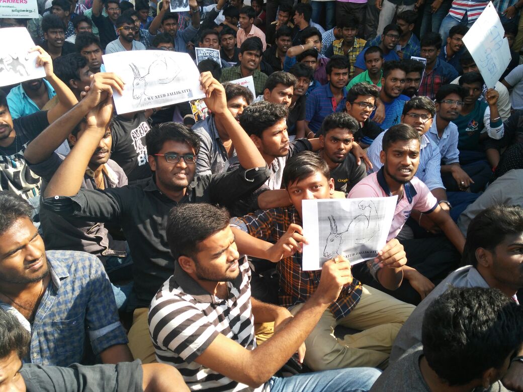 ManirajK8's tweet photo. Ksr students https://t.co/qHT7iQEIup