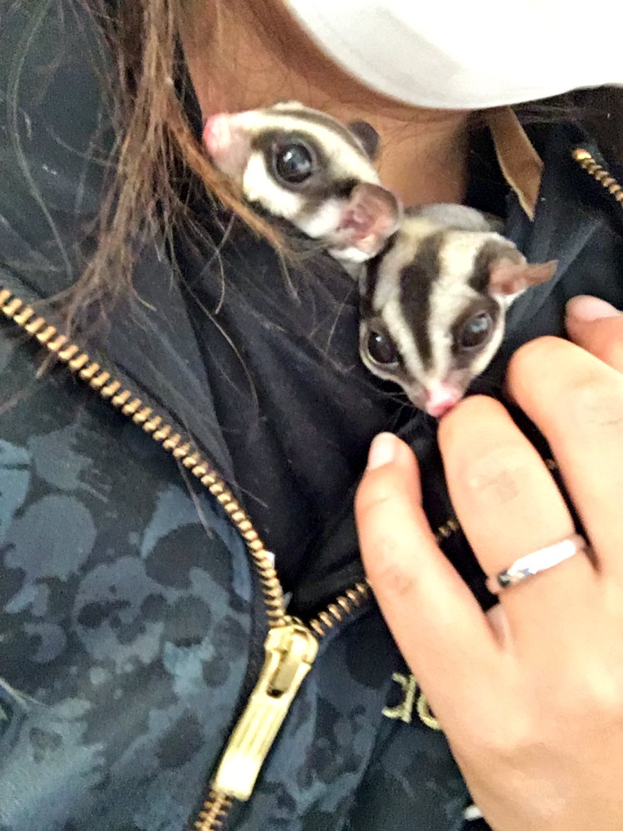 mocoa__'s tweet photo. 久々に実家に帰って
mocoaに会ってきました♡ https://t.co/knc3xKvPdM