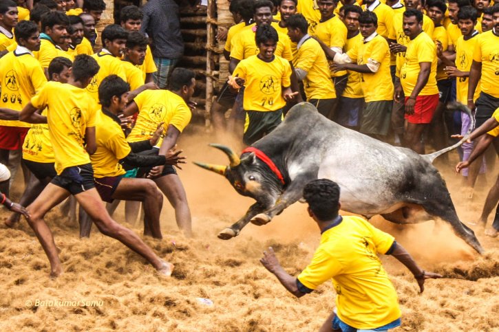 TimesNow's tweet photo. Tamil Nadu ministers hold talks with pro-Jallikattu protestors (PTI) #JallikattuFight https://t.co/xf7QVhTlhf