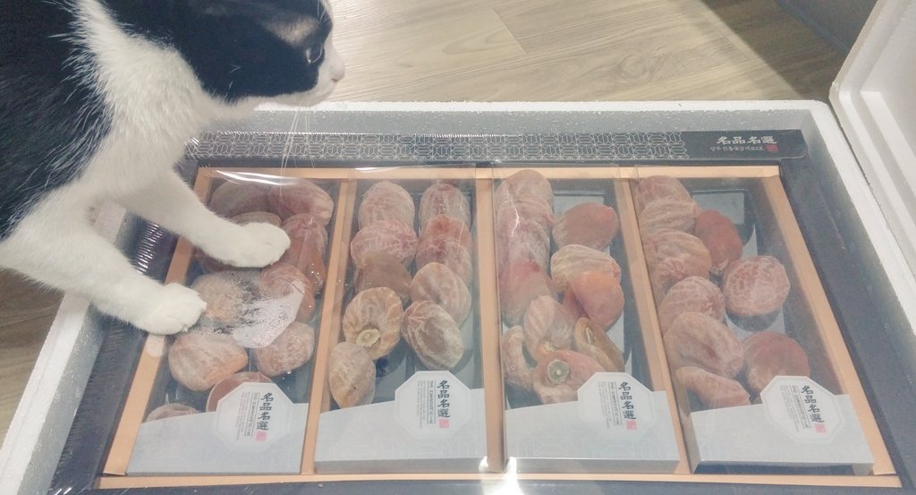 monolitheloi's tweet photo. 코믹GT에서 설 선물로 맛있는 곶감을 보내주셨습니다. 제가 곶감에 환장하는 거 어떻게 아시고! 감사합니다. 새해 복 많이 받으세요. https://t.co/0iE7IXgj5G