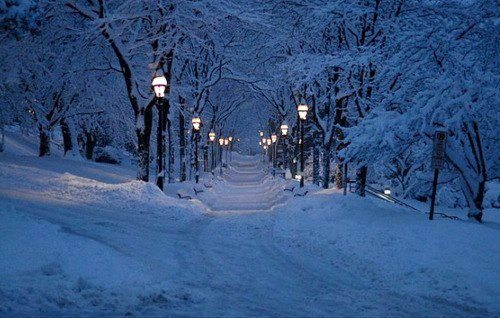 stevenzfielding's tweet photo. There is nothing quite so peaceful as a walk on a snowy winter evening. https://t.co/WK9k09ygsc