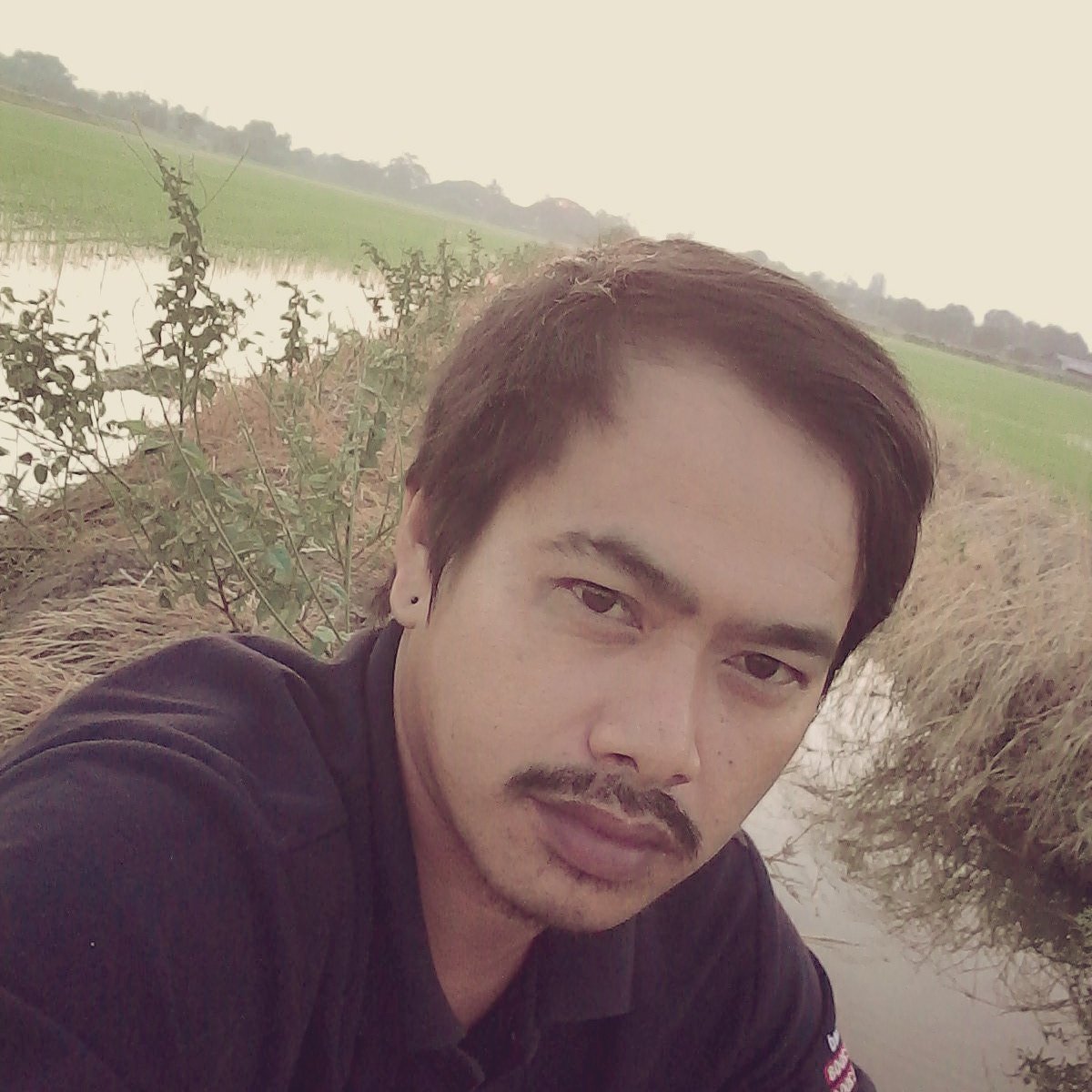ปรีชา ศรศรี tweet media