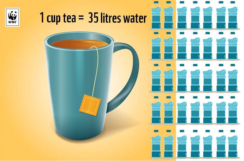 WWFINDIA's tweet photo. 35 litres of water to produce one cup of #tea! Find out your water footprint &amp; join our #campaign - #ChangeTheStory https://t.co/KiZoPEixMW https://t.co/mAi5RFUBeR