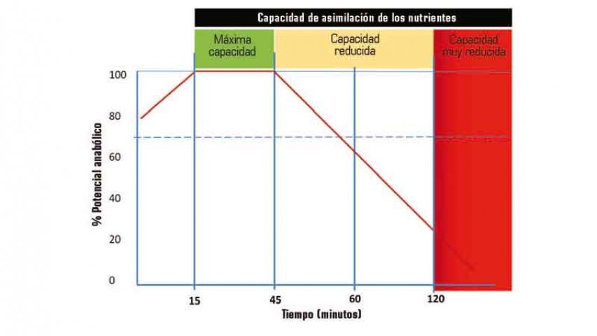 Matilde_mad's tweet photo. Conoce más sobre la ventana metabólica vía @sportlife_Es https://t.co/piYrOk0mrj https://t.co/tCsPUZBcPT