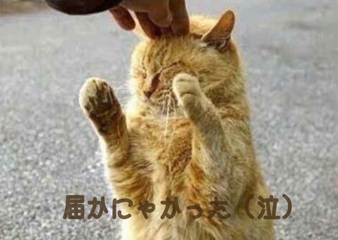 mtaro884's tweet image. オッス！ハイタッチ！