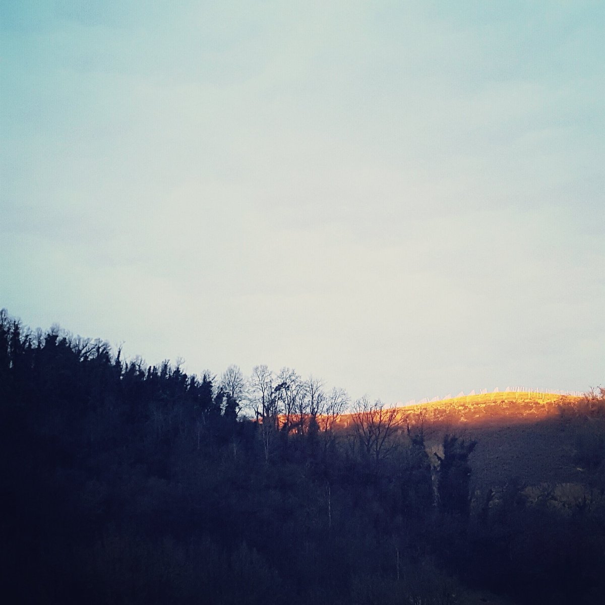 RoeRunTrail's tweet photo. First sun in Roero, have a nice day! Primo sole in Roero, buona giornata! (Ascoltando "Have a nice day" di Bon Jovi) - Vezza d'Alba #roero https://t.co/dOkraspl8s