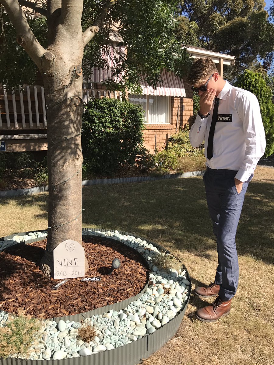 jackobrazier's tweet photo. At the funeral of @vine like.. #RIPVine https://t.co/dqNbjAtx9r