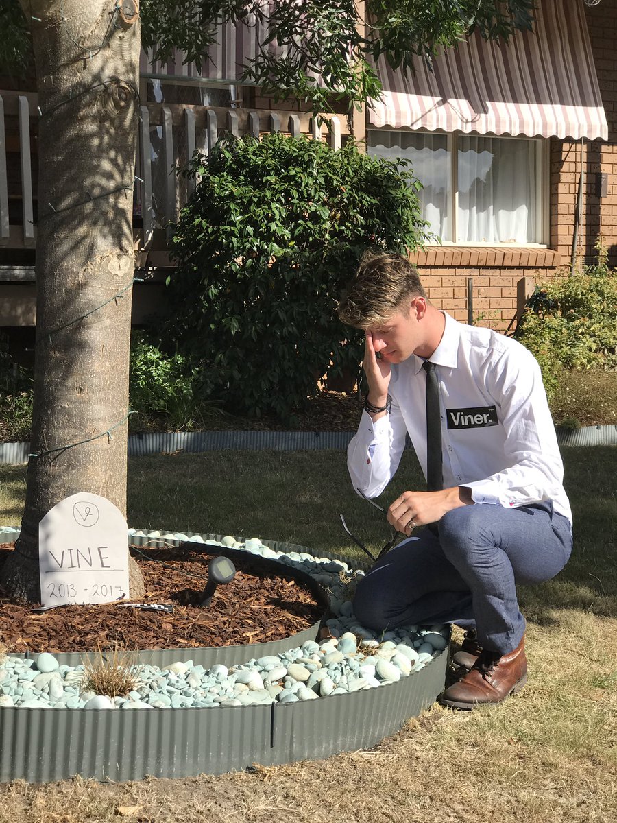 jackobrazier's tweet photo. At the funeral of @vine like.. #RIPVine https://t.co/dqNbjAtx9r