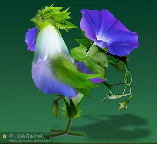 mafami136's tweet photo. Năm con gà sẽ như thế nào đây ? https://t.co/mh5Js7rBtl