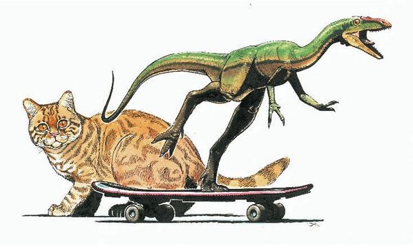 Rare sighting of Compsognathus playing with its food.#GardenoftheGods features this little guy. #SmallButMighty and killer on the skateboard