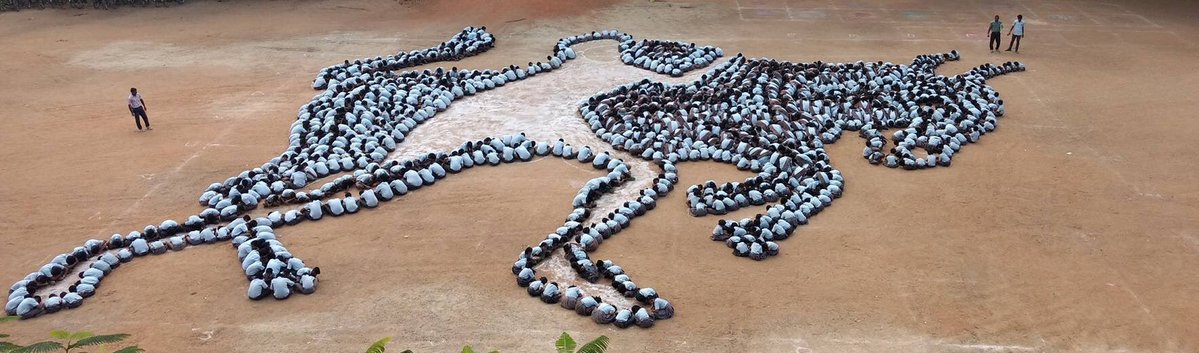 iam_raghavan's tweet image. School Children&apos;s Unity for #Jallikattu #ISupportJallikattu #JallikattuIsOurBirthRight  🐂@iam_str @Sibi_Sathyaraj @VidyuRaman @immancomposer