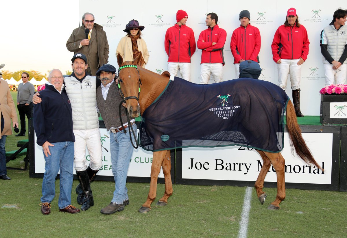Great to see successful RR's across the pond. This is a USA racehorse turned High-Goal Polo Pony with <a href="/NicRoldan/">Nic Roldan</a> ipc.coth.com/article/nic-ro…