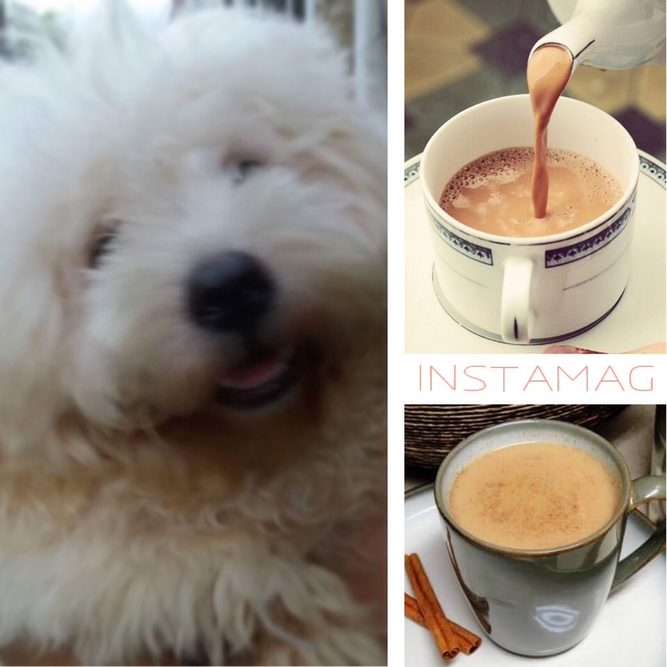 #Dognamechallenge 
Guessing game na😜