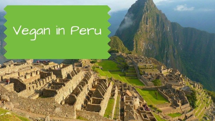 VeganSitting's tweet photo. Vegan in Peru: Food, Culture and Spirituality in Machu Picchu and Beyond https://t.co/XdzPV4p8T9

► @nomadic_vegan #vegantravel #peru https://t.co/3yqxfNUxJv