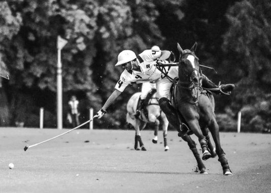 Do not underestimate the importance of a #polo pony, their agility, speed and strength are vital to a player's performance. Image: @hccruden