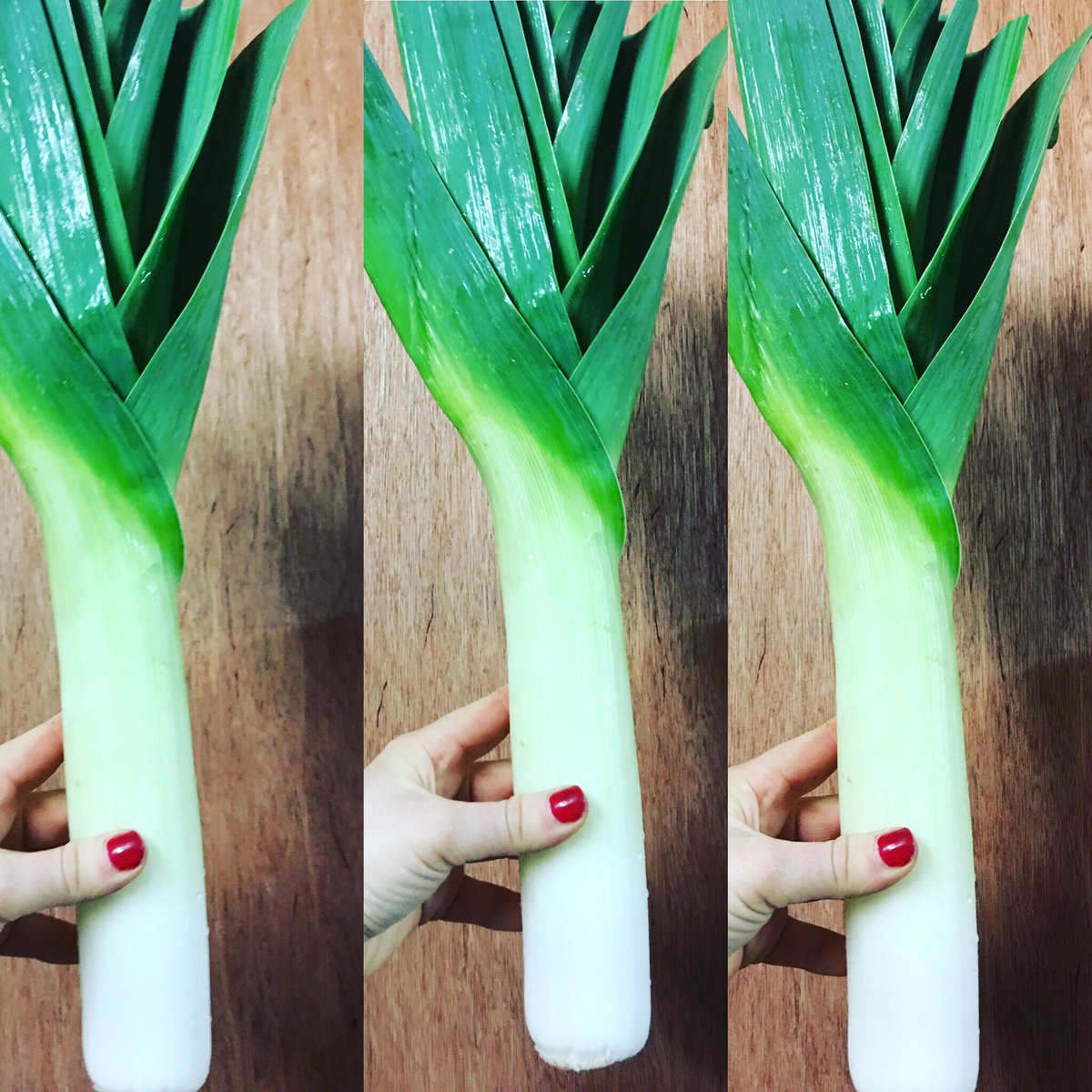 theyoghurtpot's tweet photo. I like Leeeeeeeeks...you like Leeeeeeeks! Everybody likes Leeeeeeeeeks! 🍃🍃🍃🍃Only grown on our own family farm!
#Loveleeks #vegboxes #TYP 💪🏼🍃 https://t.co/S3Mkt8hDOk