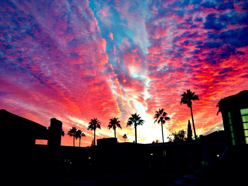 Tierneyyy's tweet photo. AZ dreamin https://t.co/OYGiutpfV0