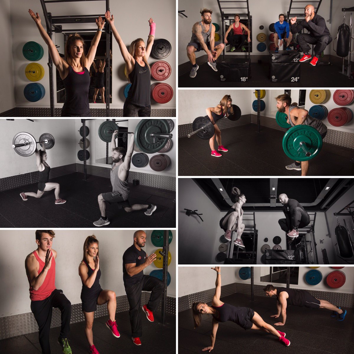 Coach Anna Greco tweet media