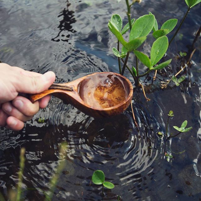 teatrunk's tweet photo. Never underestimate the importance of #water in #TeaBrewing. 
 #brewingguide #tastingnotes #teasommelier #tea #healthy https://t.co/rSEoejMYSV