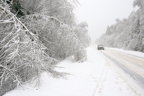 DGTes's tweet photo. #Niebla, #Hielo, #Nieve: condiciones muy hostiles para la conducción. Pincha aquí https://t.co/0K8hV0U364 y ¡¡¡extrema las precauciones!!! https://t.co/jfaCKez6S9
