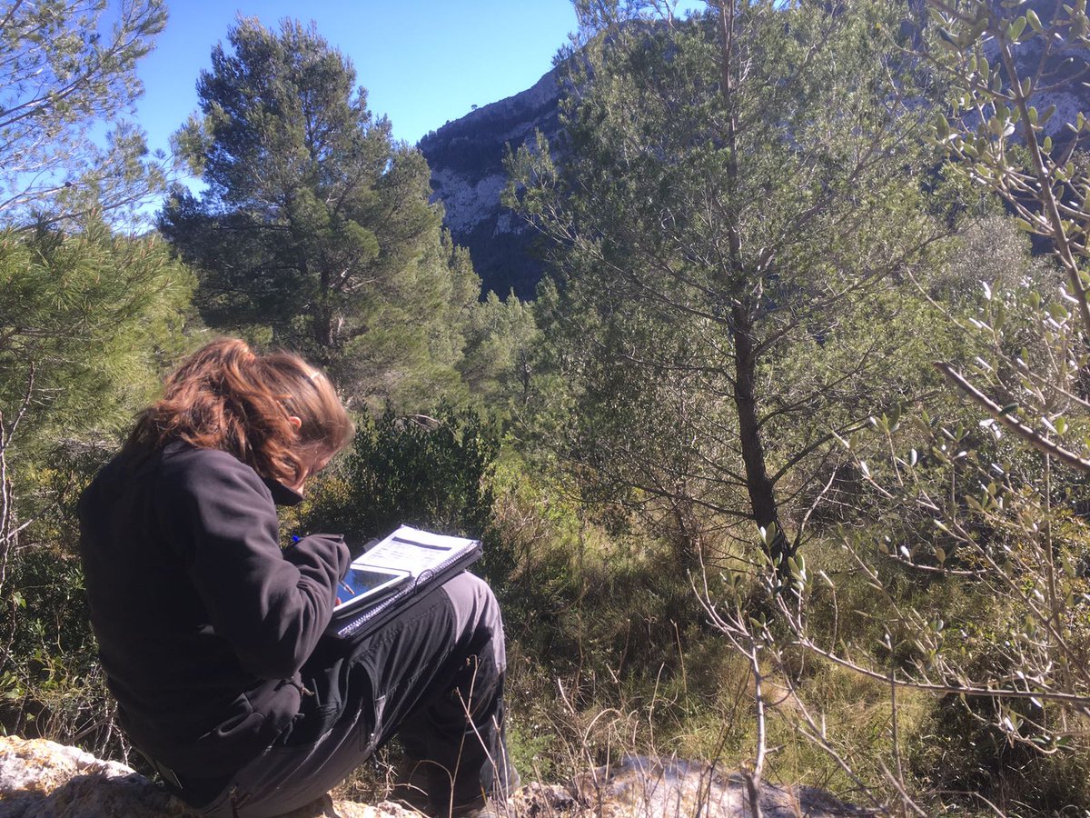 Medi_XXI_GSA's tweet photo. Des del nord i des de l'est confirmem que fa mooolt de fred! #EquipVandellòs #EquipMallorca

Bon dia =) i fresquet! #Ordenació #IIFF

Ànims! https://t.co/8iyBKp0QDY