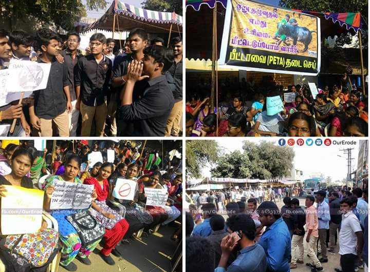 OurErode's tweet photo. Ebet College Students In Nathakadaiyur | Erode
#justiceforjallikattu #ourerode #nammaerode https://t.co/oQ0XXIeONn